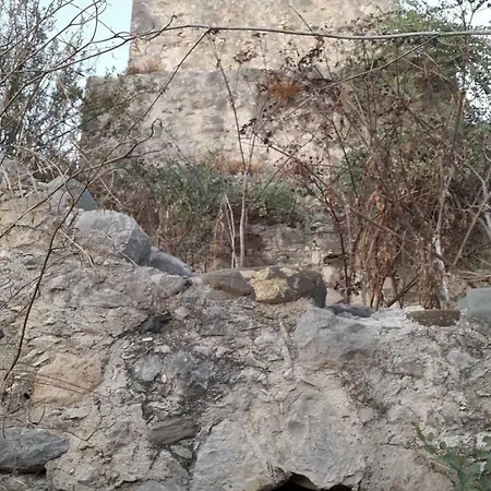 Campo de lujo Theano Skarfos River Park Paphos